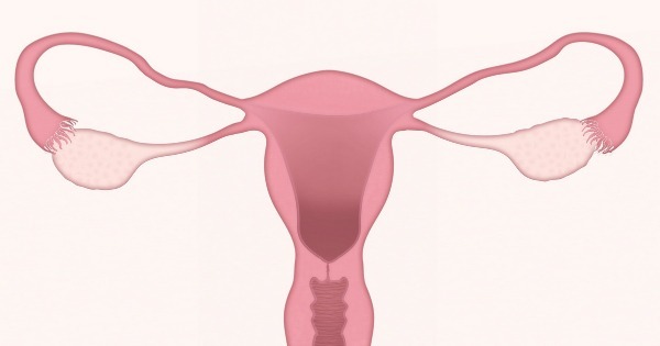 Menstruação Marrom - O Que É A Menstruação Borra De Café?