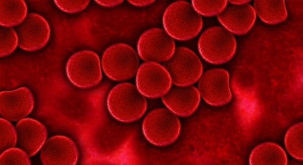 Tipos de anemia e seus sintomas