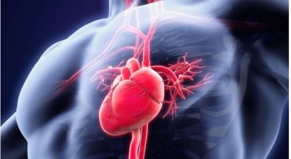 Batimentos cardíacos acelerados: sintomas, causas e tratamento da taquicardia