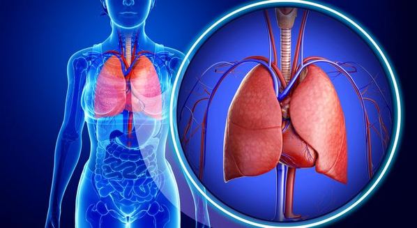 Fibrose pulmonar: causas, sintomas e tratamento