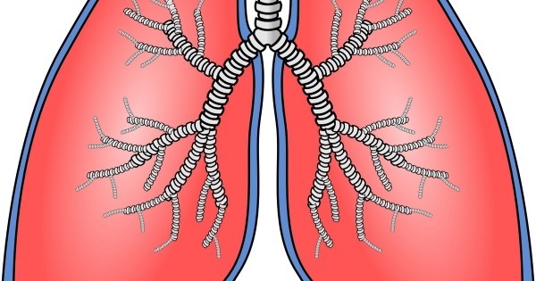 O que é fibrose cística? Tem cura? - Médico Responde