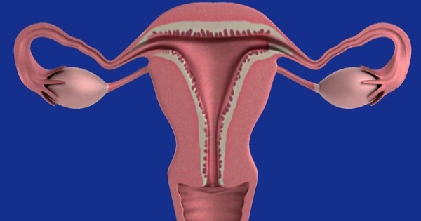 O que fazer para diminuir o fluxo de sangue na menstruação?
